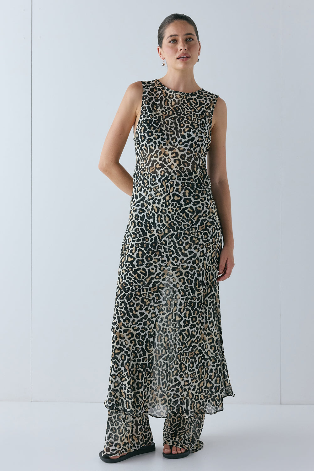 Remi Sheer Pants Leopard | VRG GRL online